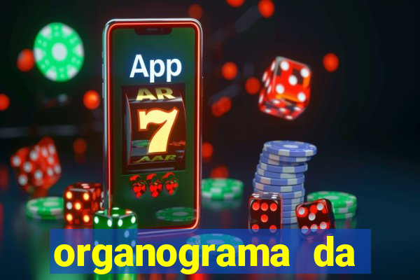 organograma da cacau show